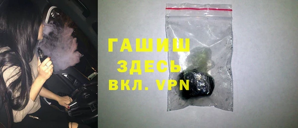 индика Надым