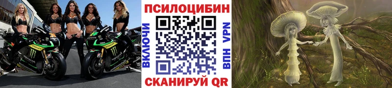 закладки  Сурск  Псилоцибиновые грибы ЛСД 